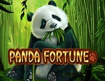 Panda Fortune